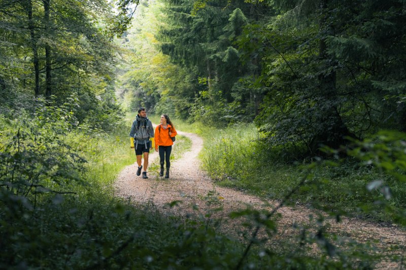 Wanderer im Wald auf dem Felsquellweg Oberdigisheim