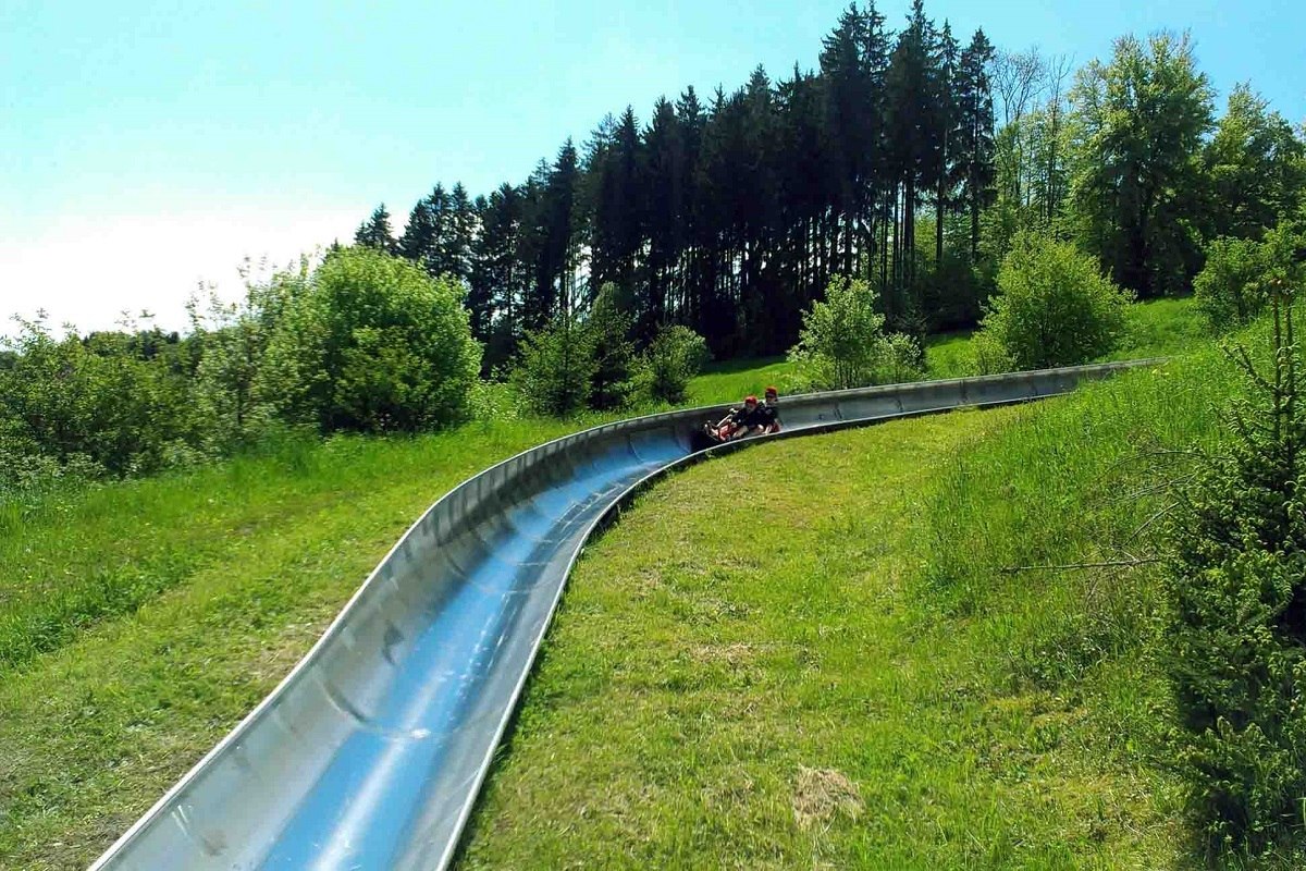 Besucher rodeln auf der Sommer-Bobbahn in Sonnenbühl