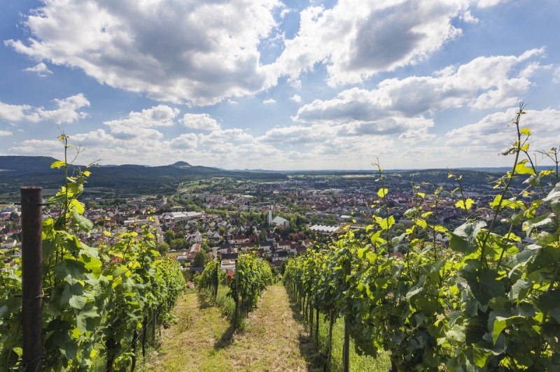 Blick von den Weinbergen auf Metzingen